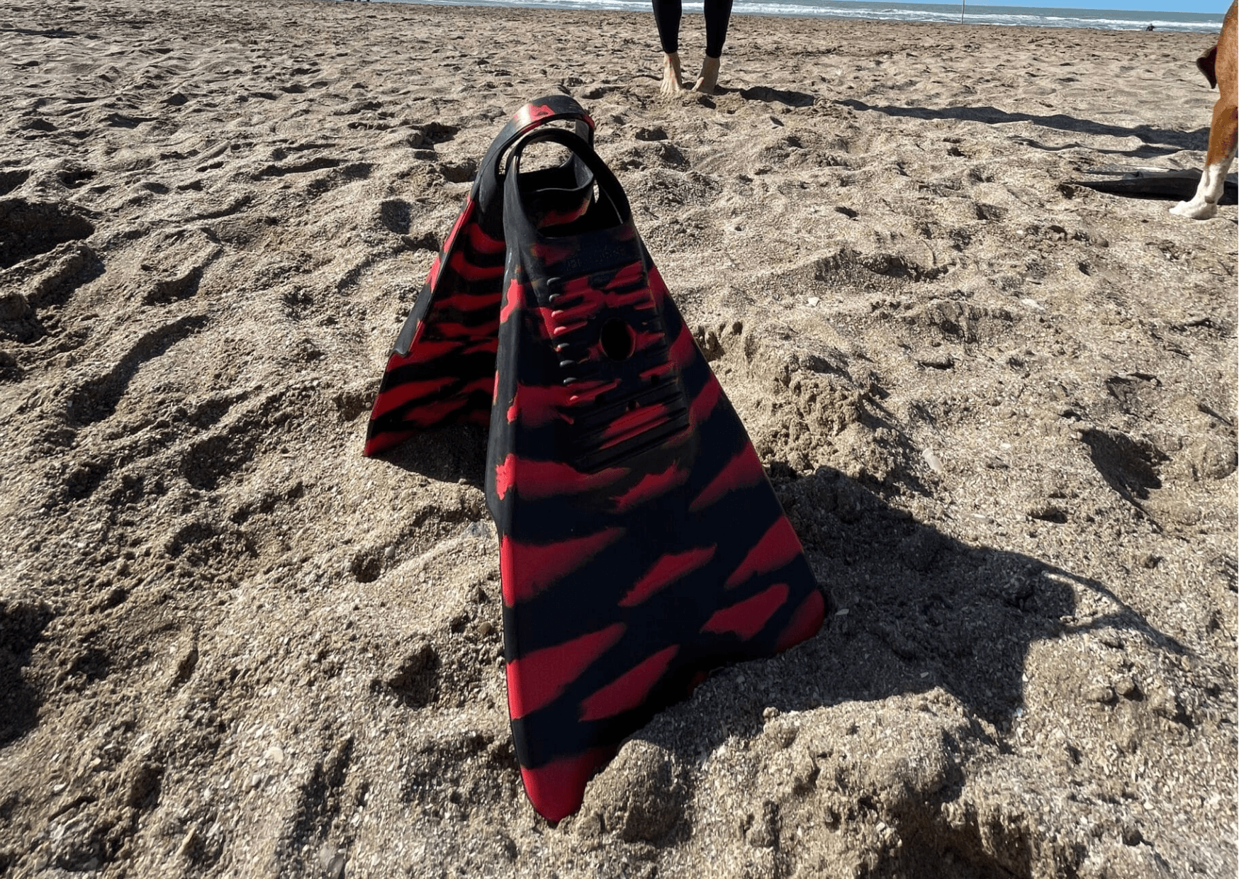 Diseño sin título (43)